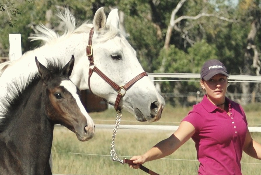 “The essential joy of being with horses is that it brings us together with the rare elements of grace, beauty spirit and fire”