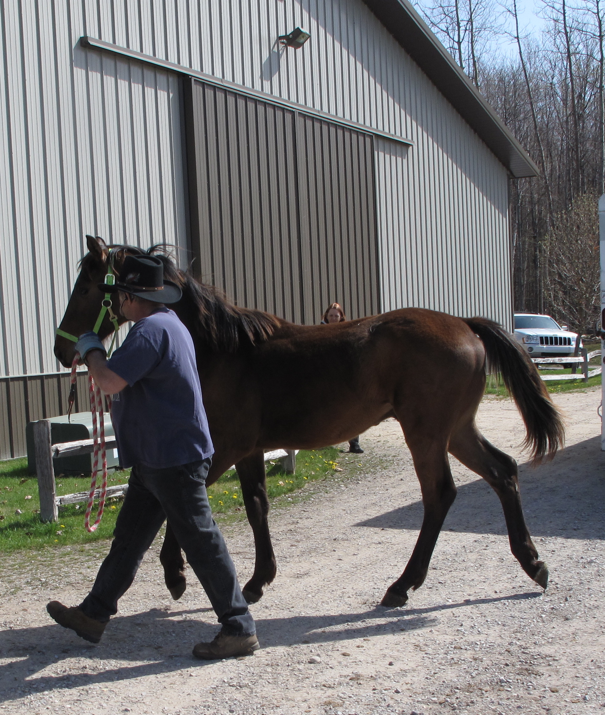 Merlin, light on his feet....welcome to your new home !