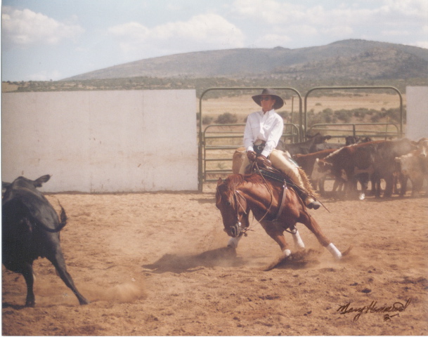 Learning to ride a cutting horse - one of the great moments in my competition career...