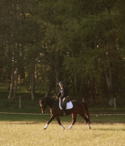 MONTHS LATER, UNDER SADDLE - a lovely ride.